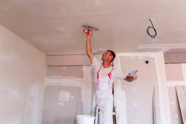 Best Drywall Crack Repair  in South Roxana, IL